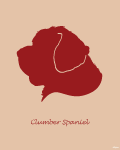 Clumber Spaniel