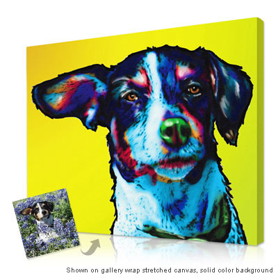 Custom pop store art dog portrait