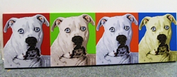 Warhol style 4 panels horizontal