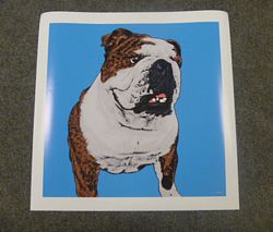 Warhol 1 Panel - Pet Portrait