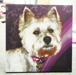 AirBrush Style - Gallery Wrap Canvas