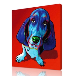 Pet-glo portrait - pop art pets portraits