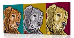 Warhol style - 3 panels - pop art pets