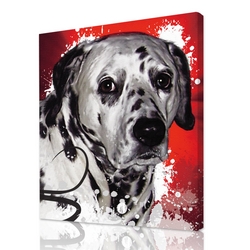 Airbrush pet portrait - Red Background