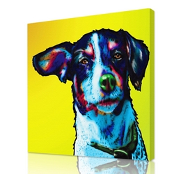 Pet-glo portrait - 1 face- Solid Color Background