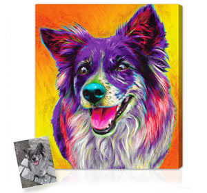 Exclusive pet portraits in bright colors and surreal backgrounds