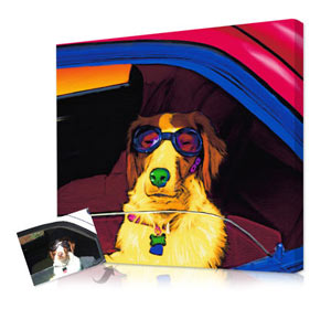 Exclusive pet portraits in bright colors and surreal backgrounds