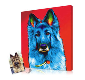 Exclusive pet portraits in bright colors and surreal backgrounds