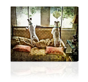 reinvent your photos on canvas with our exclusive artist touch