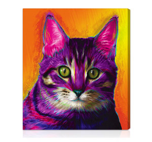 Exclusive pet portraits in bright colors and surreal backgrounds