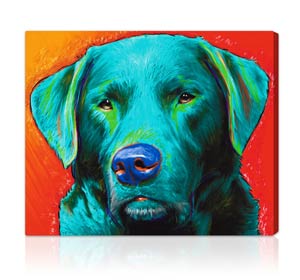 Exclusive pet portraits in bright colors and surreal backgrounds