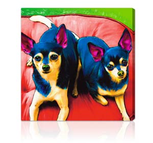 Exclusive pet portraits in bright colors and surreal backgrounds