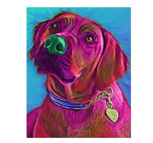 Exclusive pet portraits in bright colors and surreal backgrounds