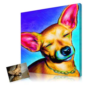 Exclusive pet portraits in bright colors and surreal backgrounds