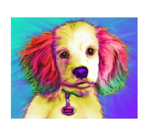 Exclusive pet portraits in bright colors and surreal backgrounds